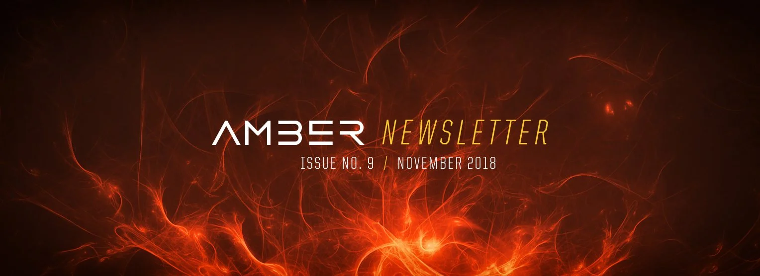 Amber-Newsletter-nr9-Nov-2018.jpg