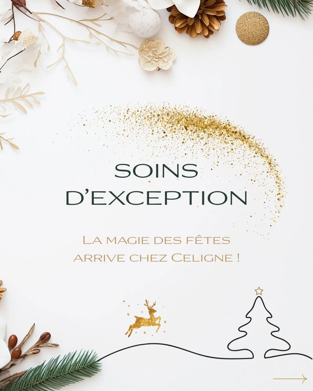 Offrir un cadeau, c&rsquo;est simple&hellip; mais trouver le cadeau parfait, celui qui fait briller les yeux de votre &laquo; personne &raquo;, c&rsquo;est une tout autre histoire.

C&rsquo;est pour cela que CELIGNE vous a pr&eacute;par&eacute; une s