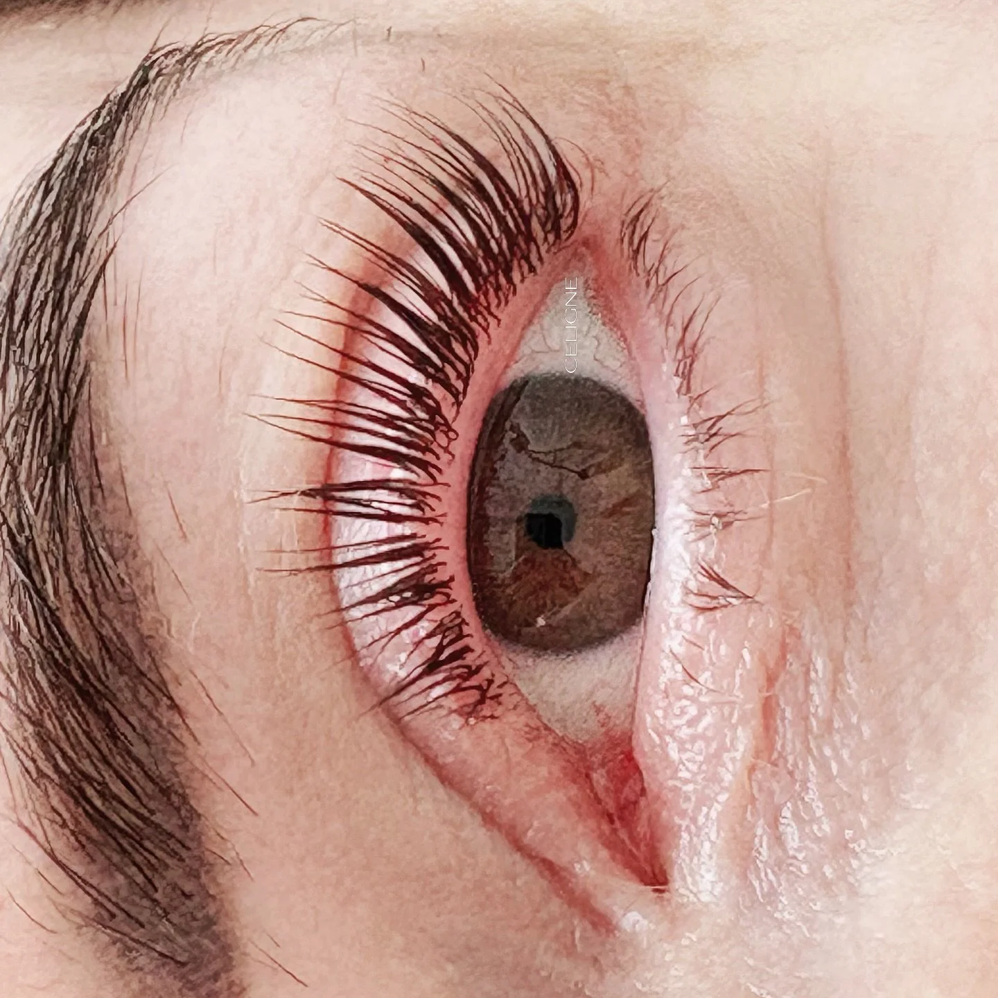 La nettet&eacute; d&rsquo;un rehaussement maitris&eacute;! 
Dur&eacute;e jusqu&rsquo;&agrave; 2 mois 🫶🏻