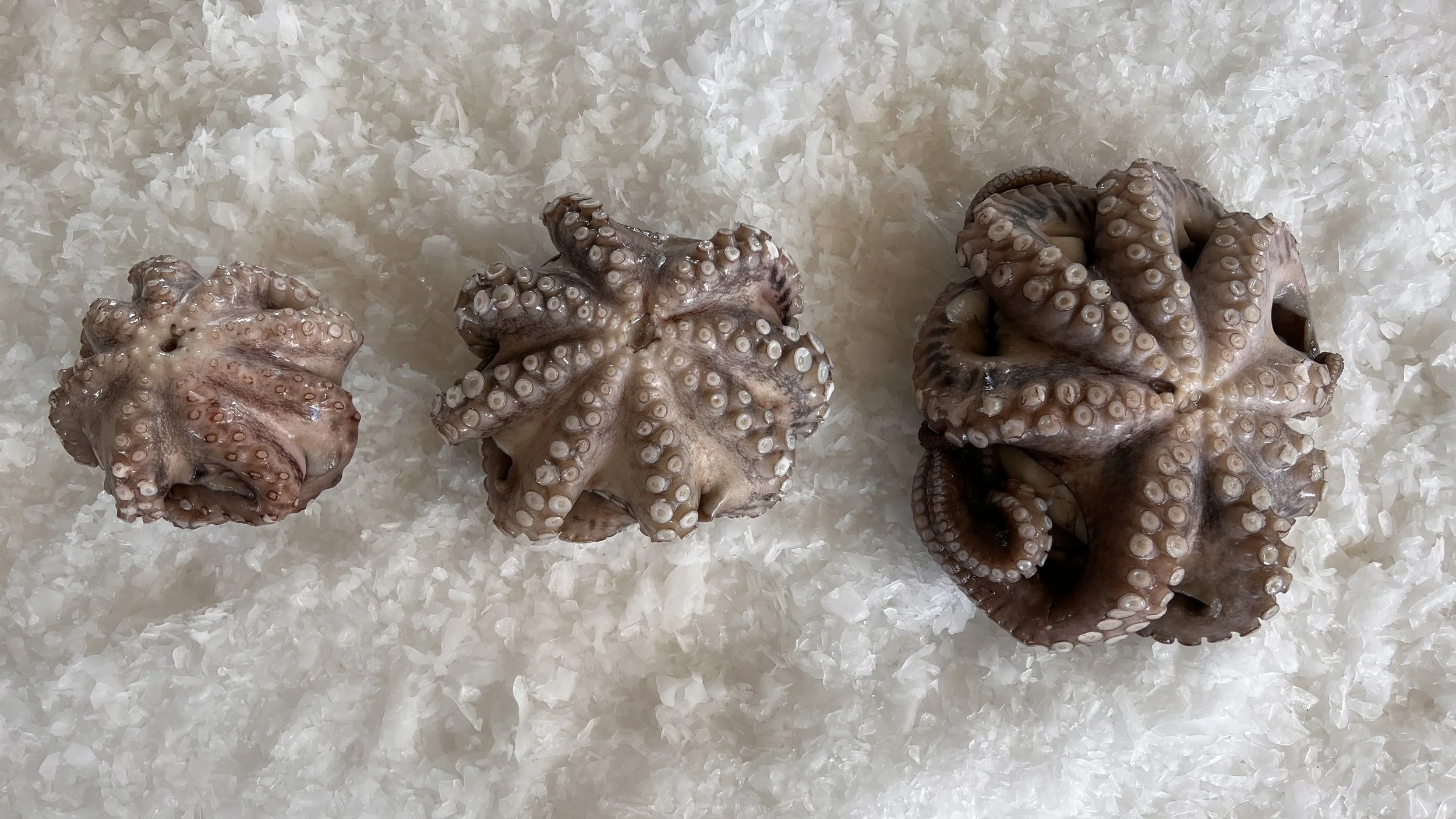 Le surgelé à de quoi vous combler ! 