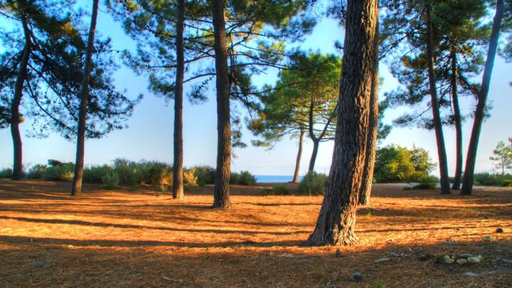 Korsika – corsica