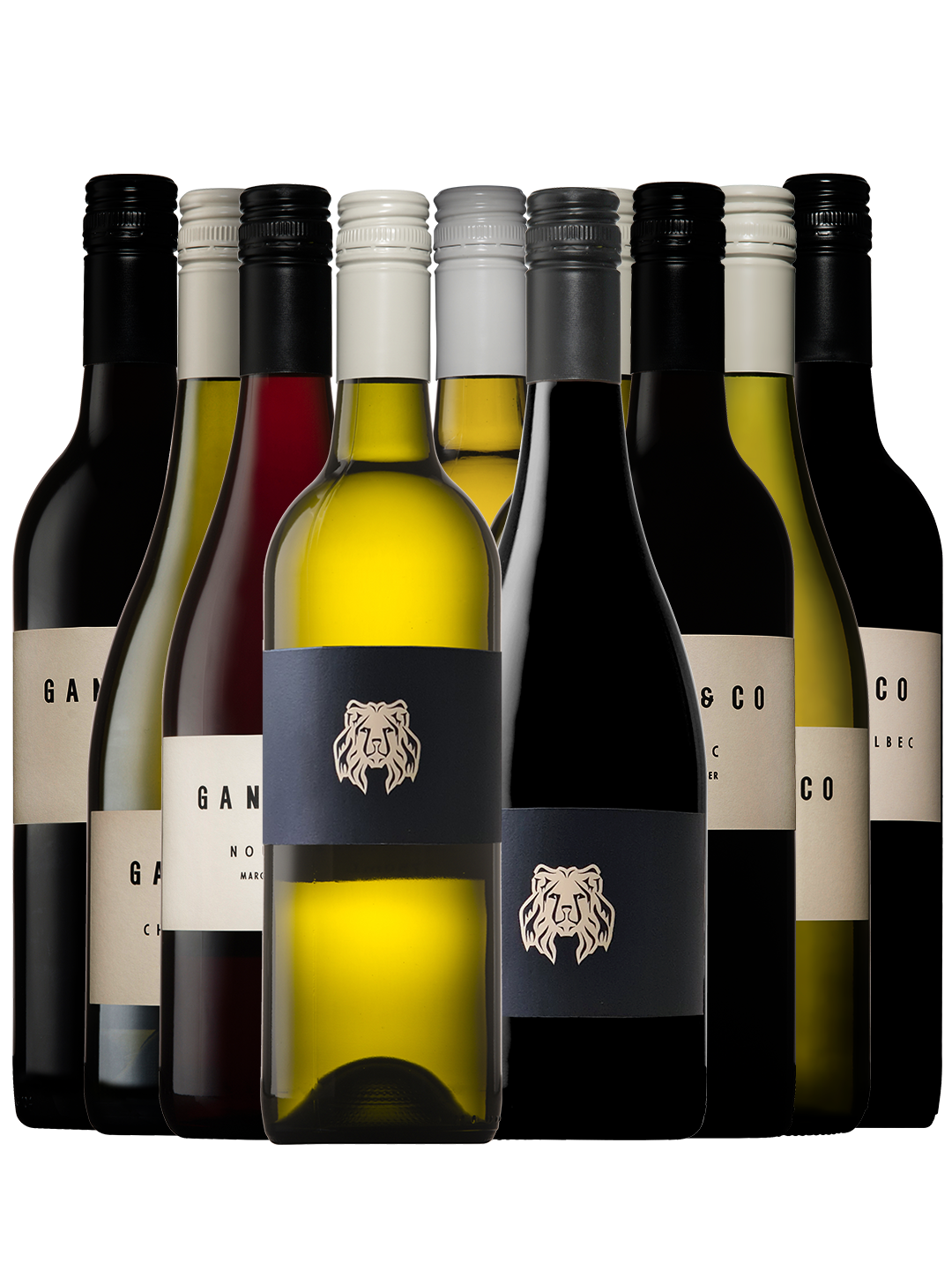 G&CO Discovery Pack_Web.png