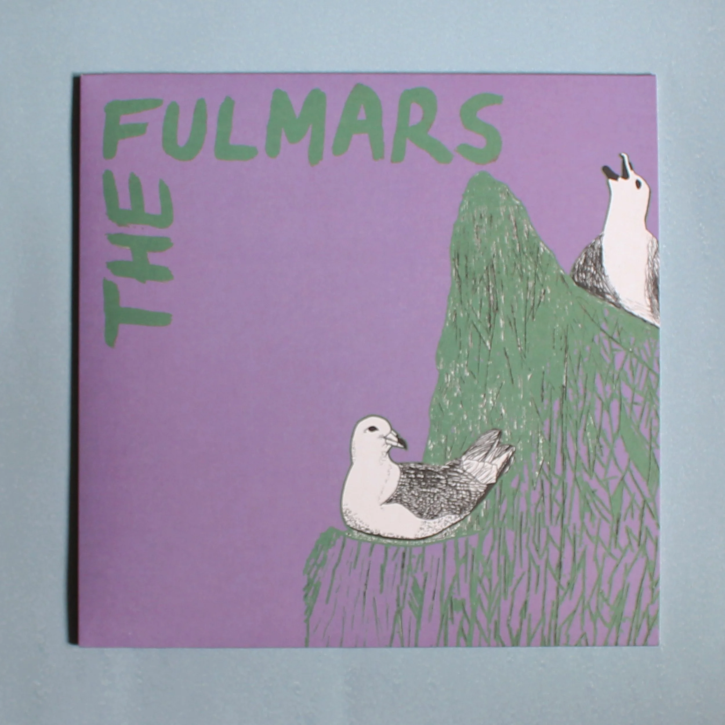 fulmars1.jpg