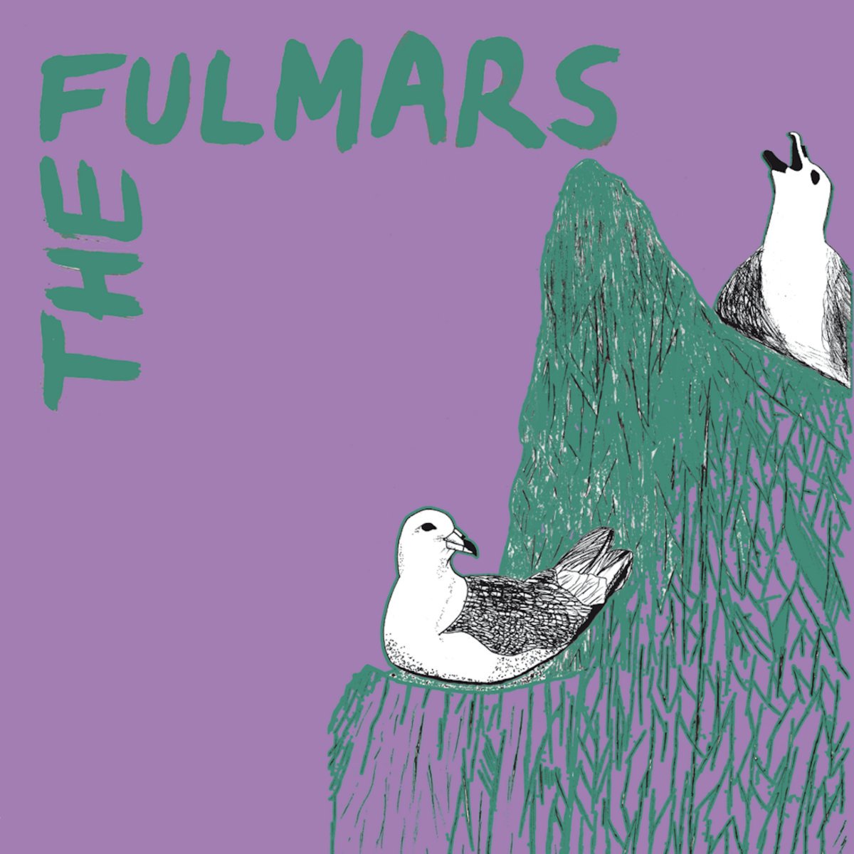 fulmars.jpg