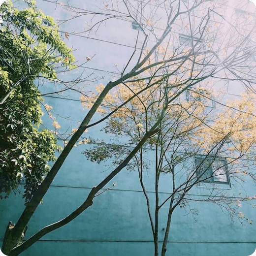 Map_ Thumbnail03.png