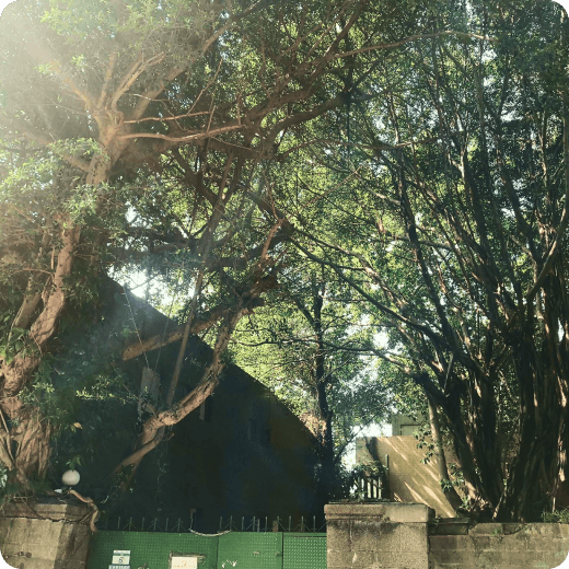 Map_ Thumbnail04.png