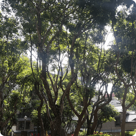 Map_ Thumbnail07.png