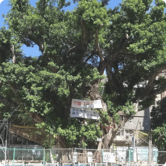 Map_ Thumbnail08.png