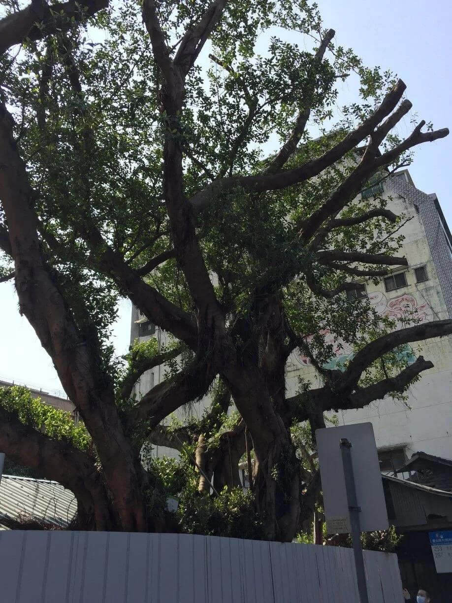 2021 植覺｜ 喚之旅