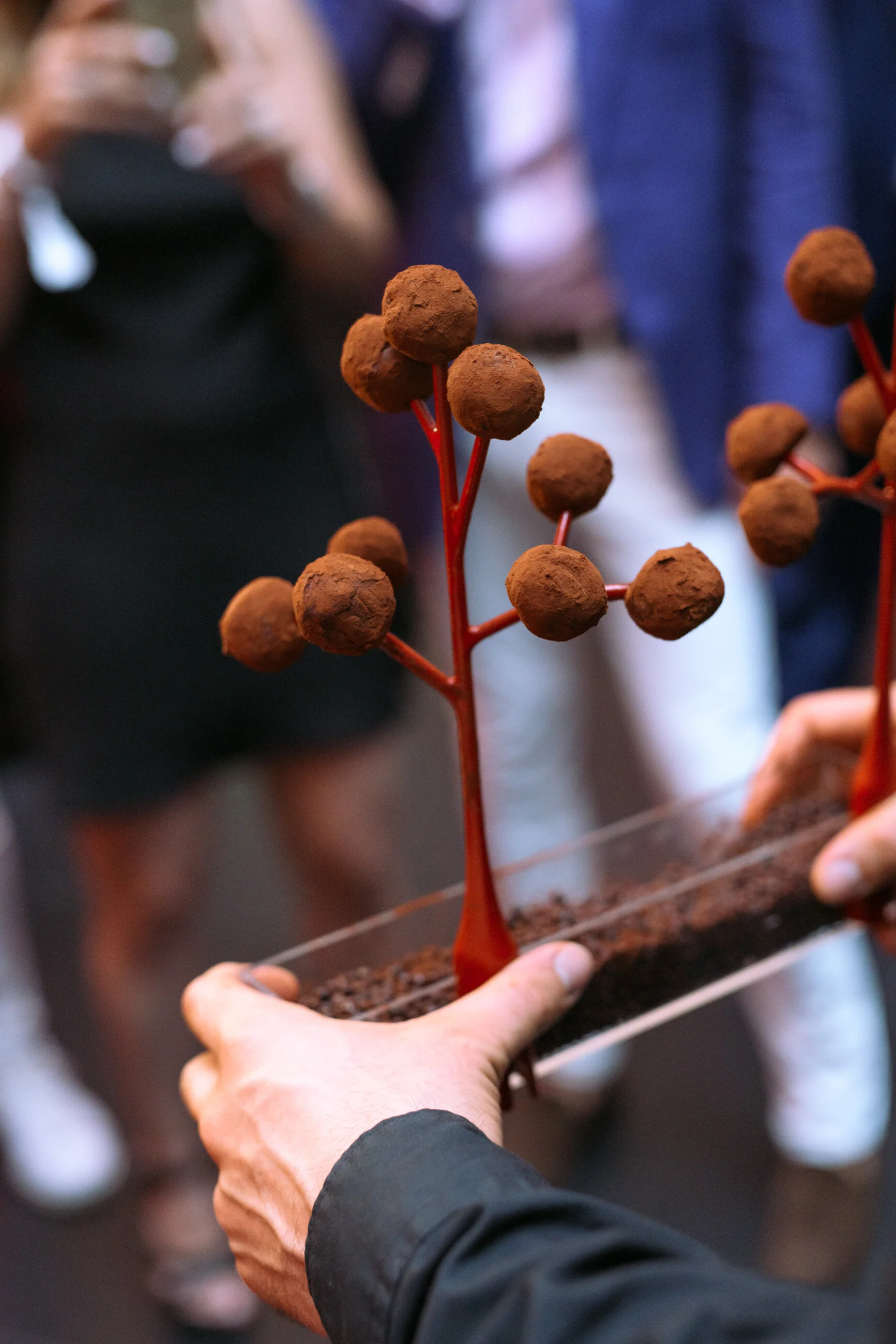 chocolate-tree-experiential-event.jpg