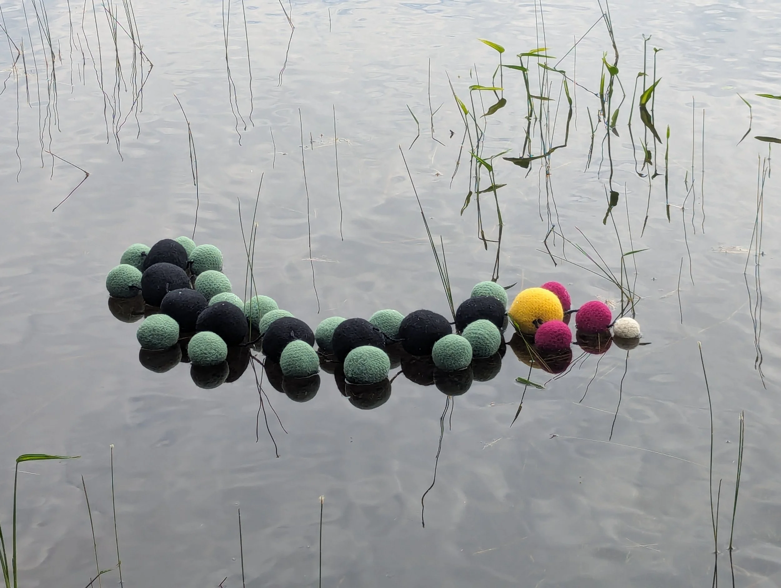Wool and Water