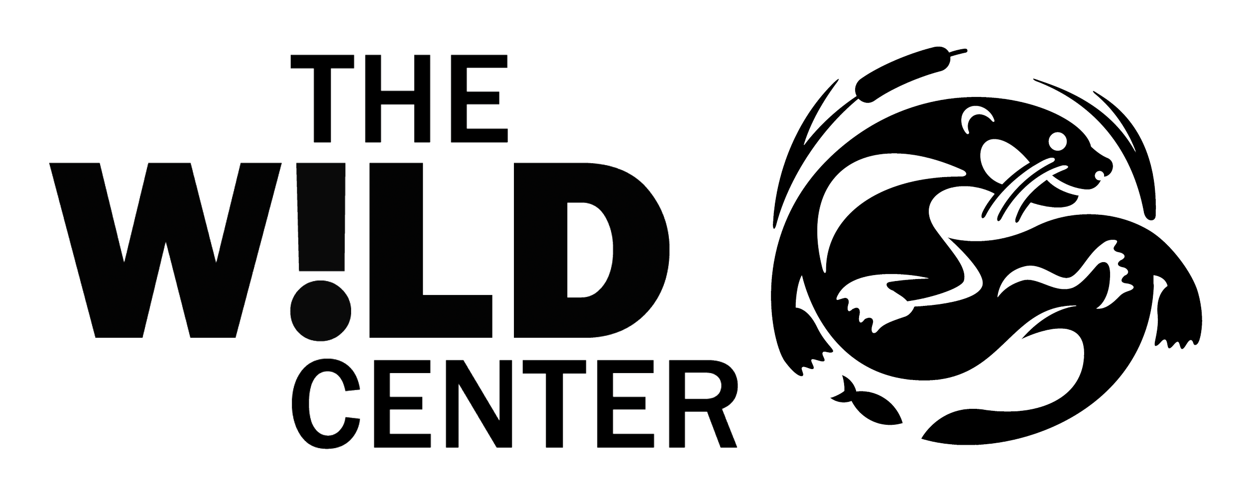 The Wild Center