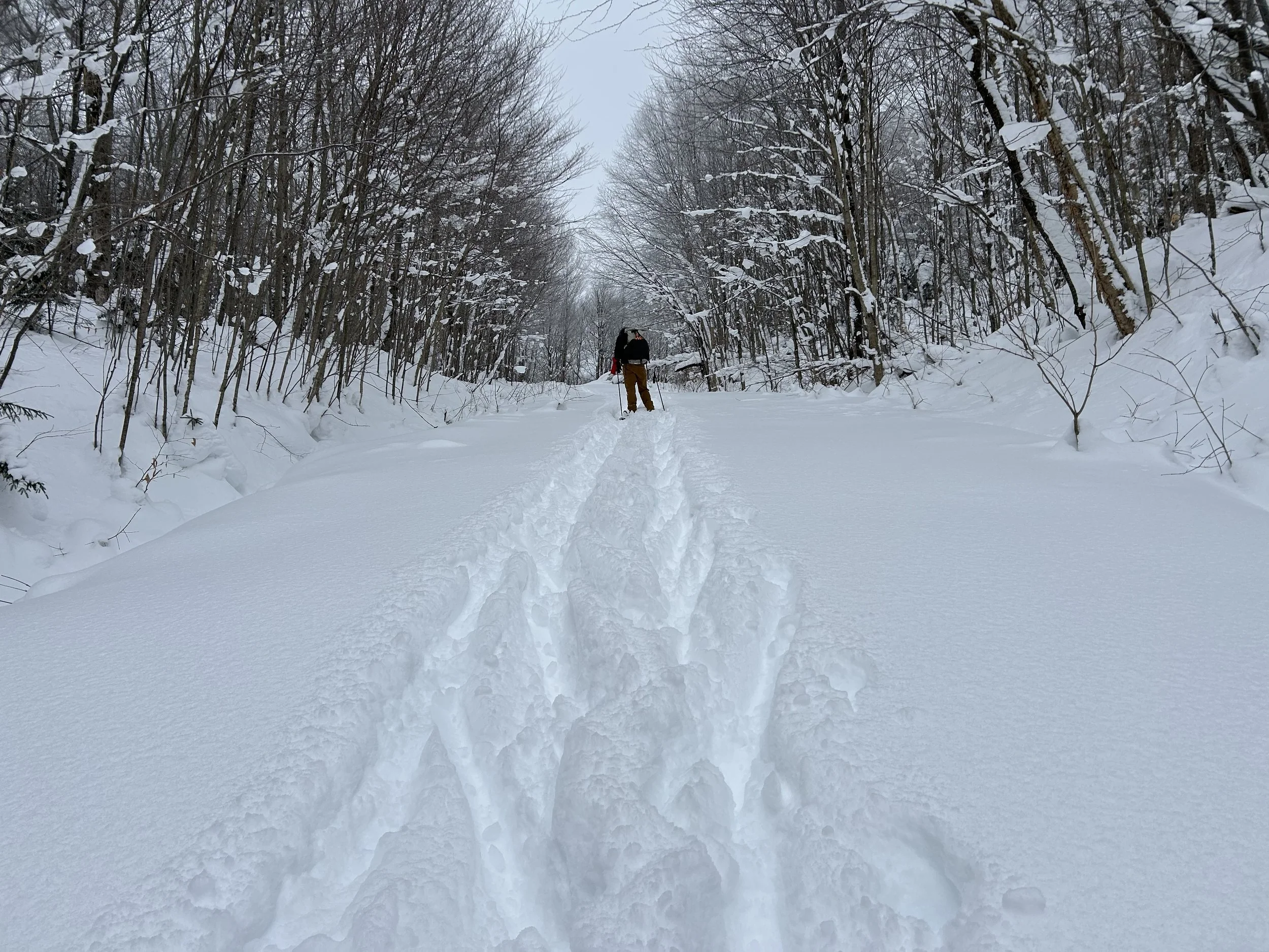 "Woods Lake Ski Hill"