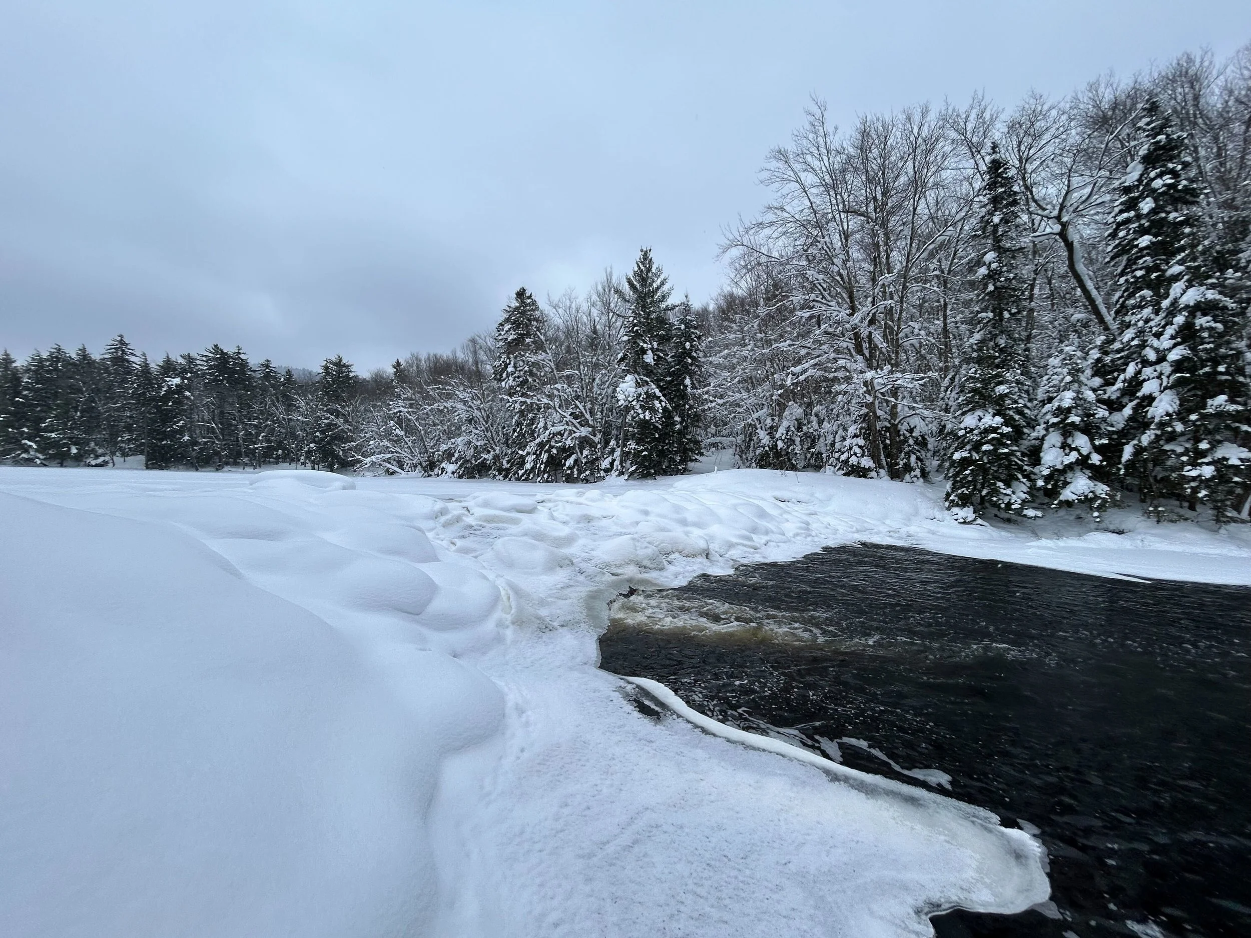 Rondaxe Lake, Febraury 2026.