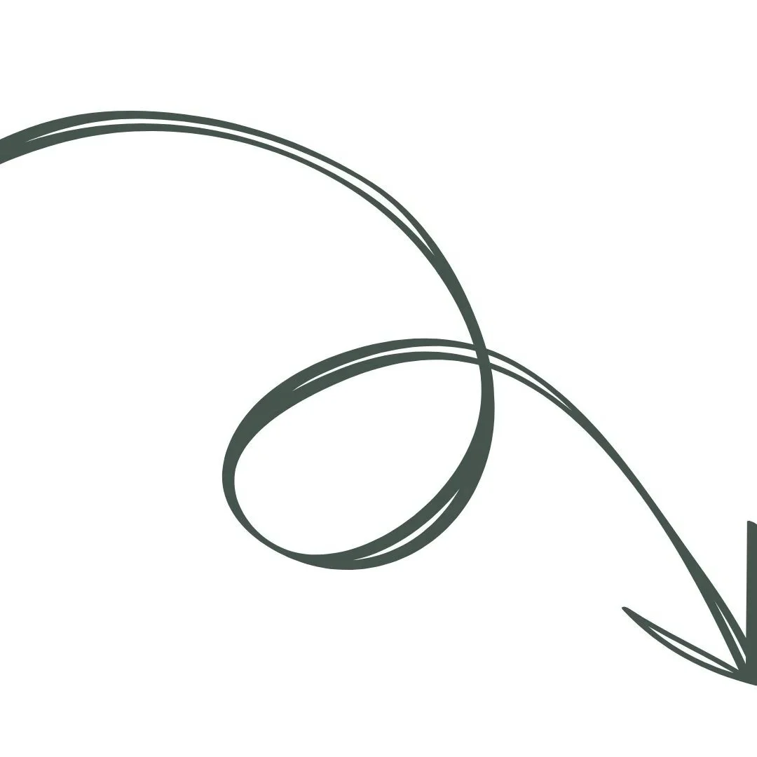 A simple, abstract black arrow with a curved tail pointing downward on a white background.