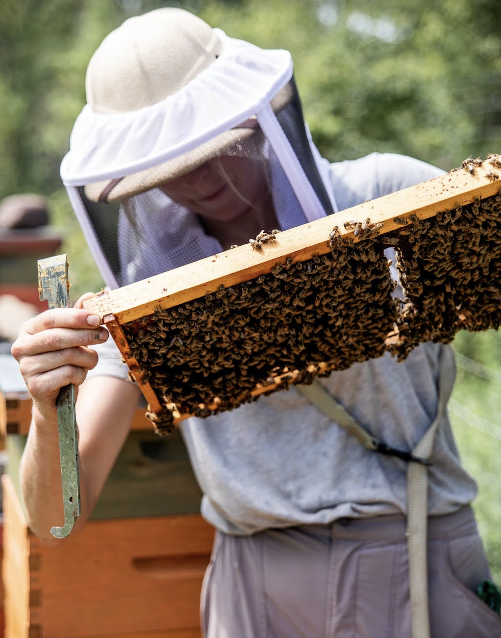 Screenshot 2025-11-18 at 4.12.26 PM.png