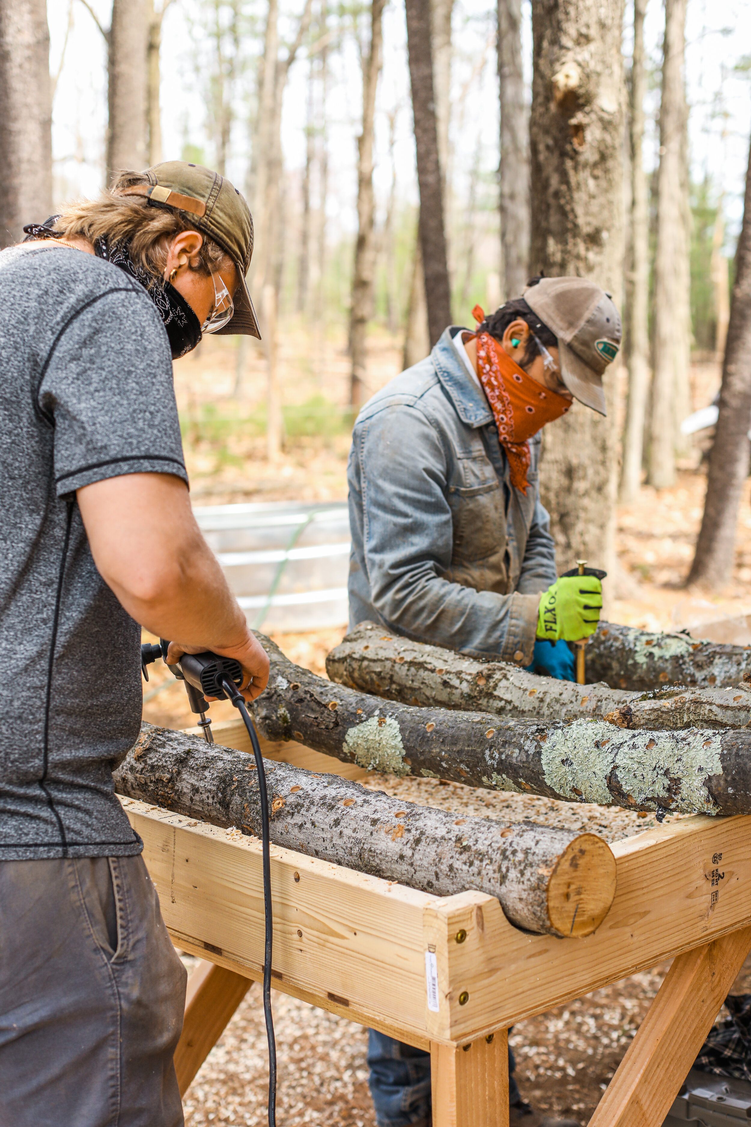 Mushroom Inoculation — White Feather Farm