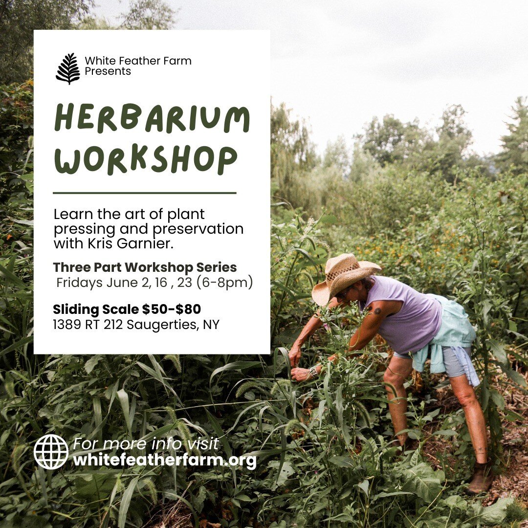 If feels extra special when our staff members offer to share their knowledge with our growing community. Coming up next month our Land Steward/ Herbarium Artist @krisgarnier is teaching the art of plant pressing and preservation in her three-part Her