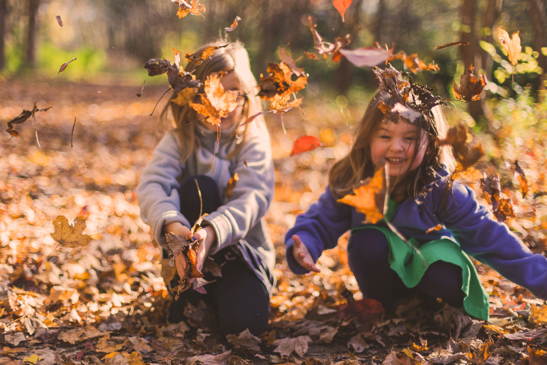 Little Seedlings: Fall Foraging