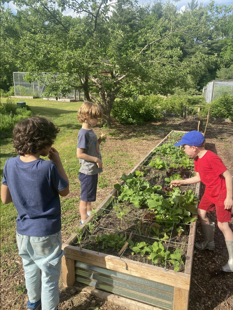 After School Farm Club Begins!