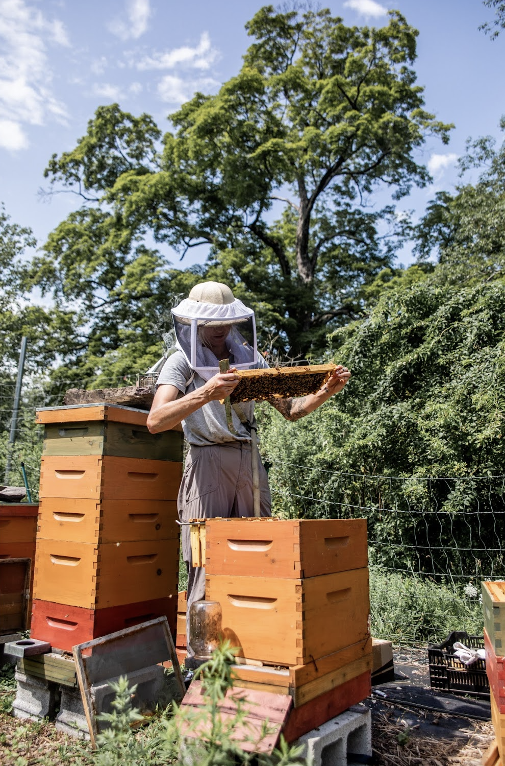 Screenshot 2025-11-18 at 4.12.50 PM.png