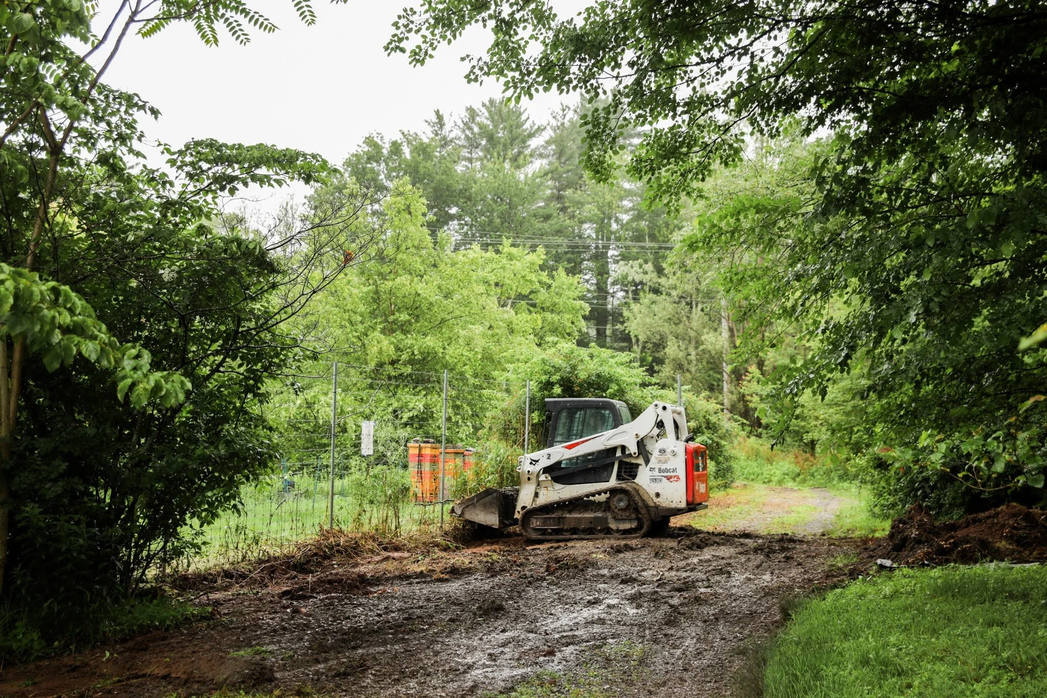 Native Pollinator Habitat Blog — White Feather Farm