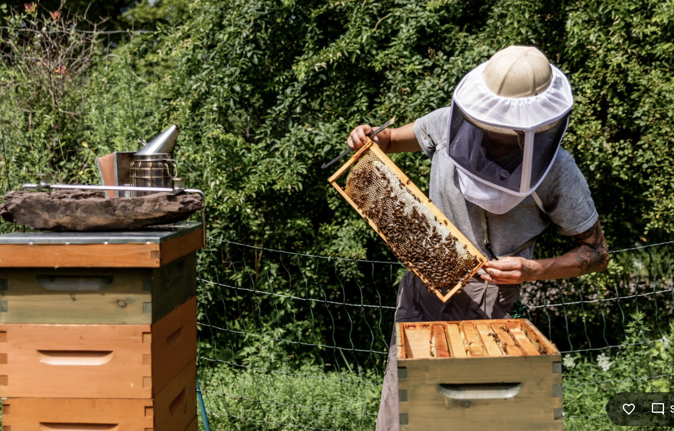 Screenshot 2025-11-18 at 4.13.03 PM.png