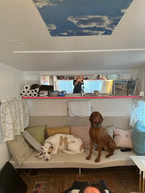 A cozy room with a low white couch holding a white dog with brown spots lying down and a brown dog sitting up. A person’s head is visible at the bottom of the image. The ceiling has a sky with clouds painted on it and a mirror above the couch reflects a person taking a photo. The room has various pillows, curtains, and shelves with rolls of paper, books, and decorative items.