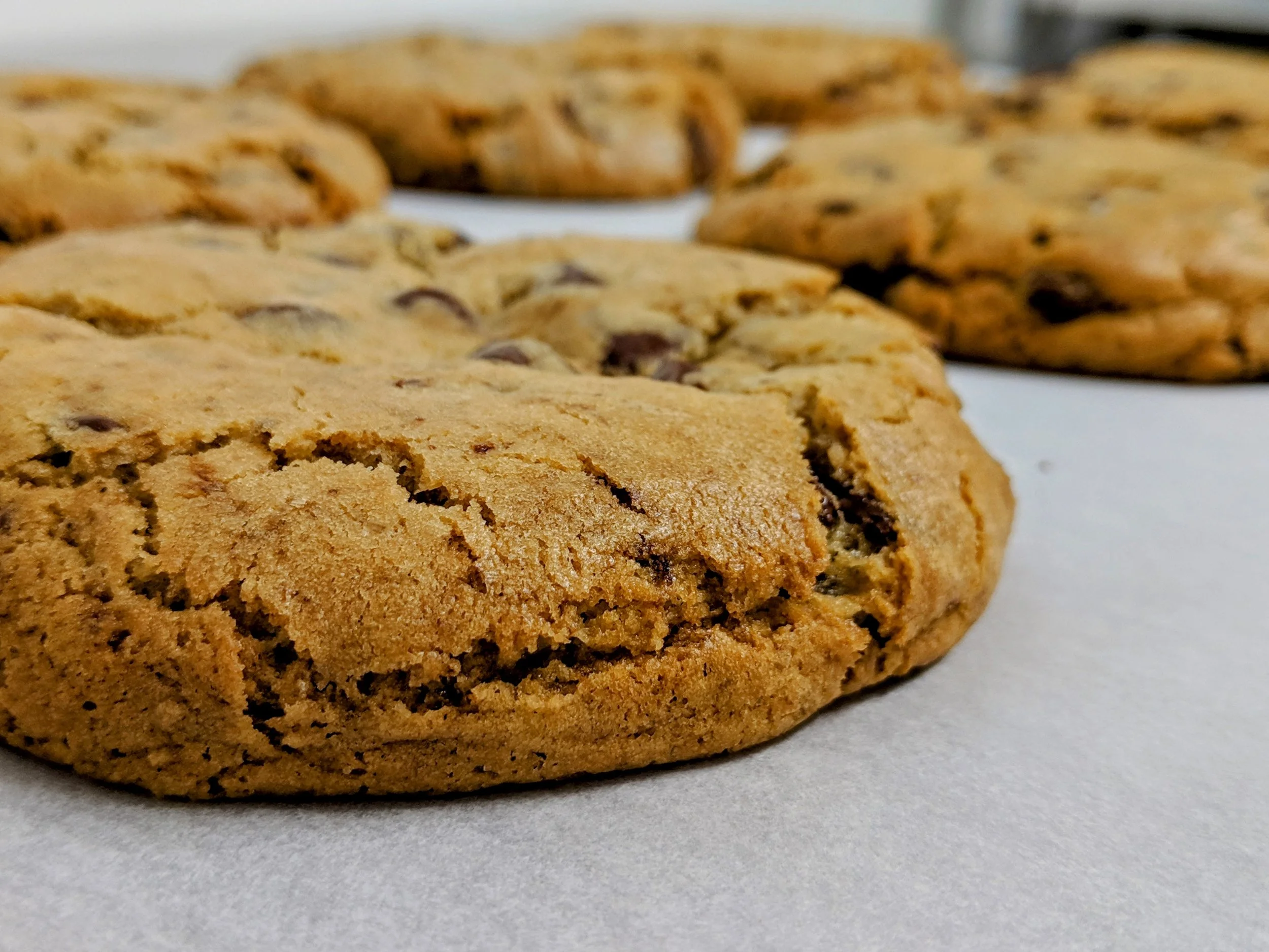 The Pie Chest Chocolate Chip Cookie
