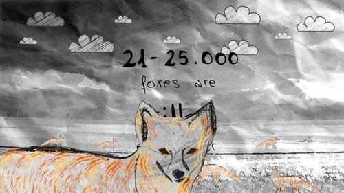 10FactsFoxes_11.jpeg