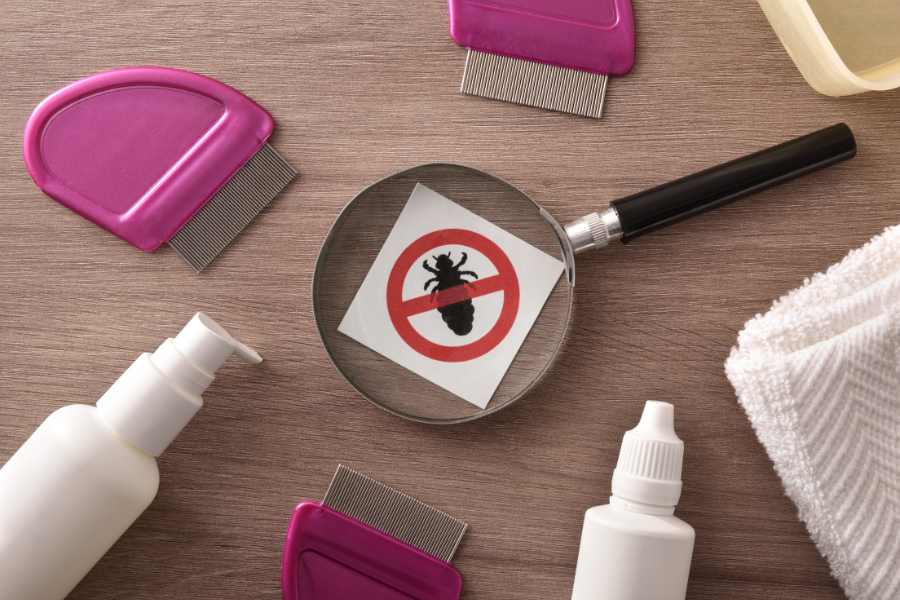 Why You Should Go To A Professional For Lice Treatment — NITWITS LICE ...