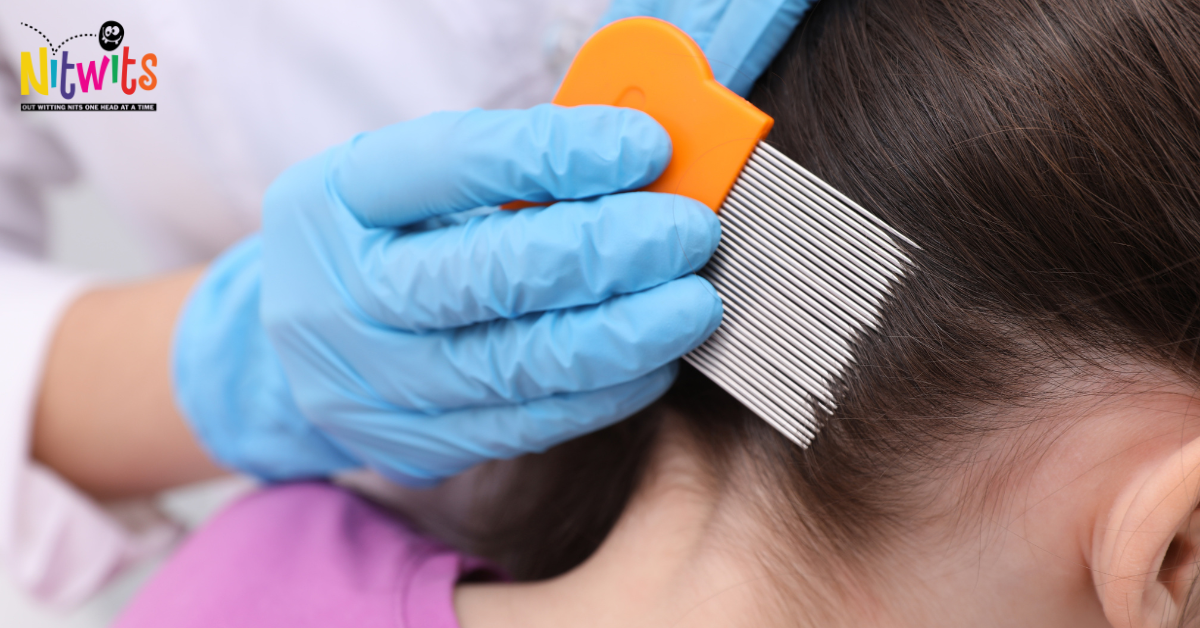 Exploring the Benefits of Manual Nit Removal — NITWITS LICE SERVICES