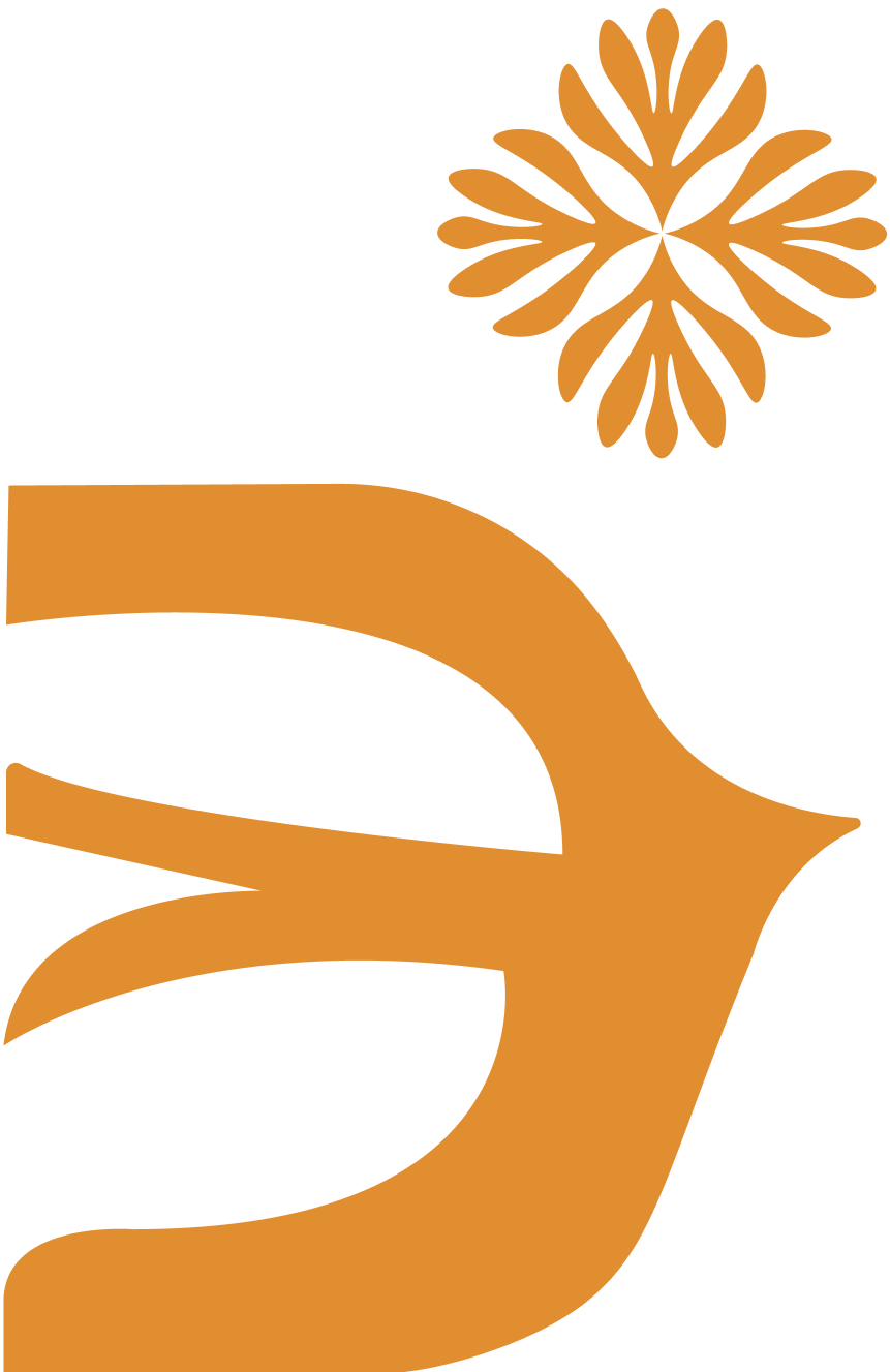 IEP_comp_orange_04.png