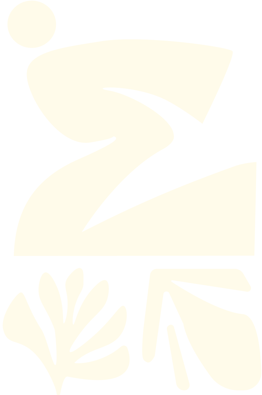 IEP_comp_crema_02.png