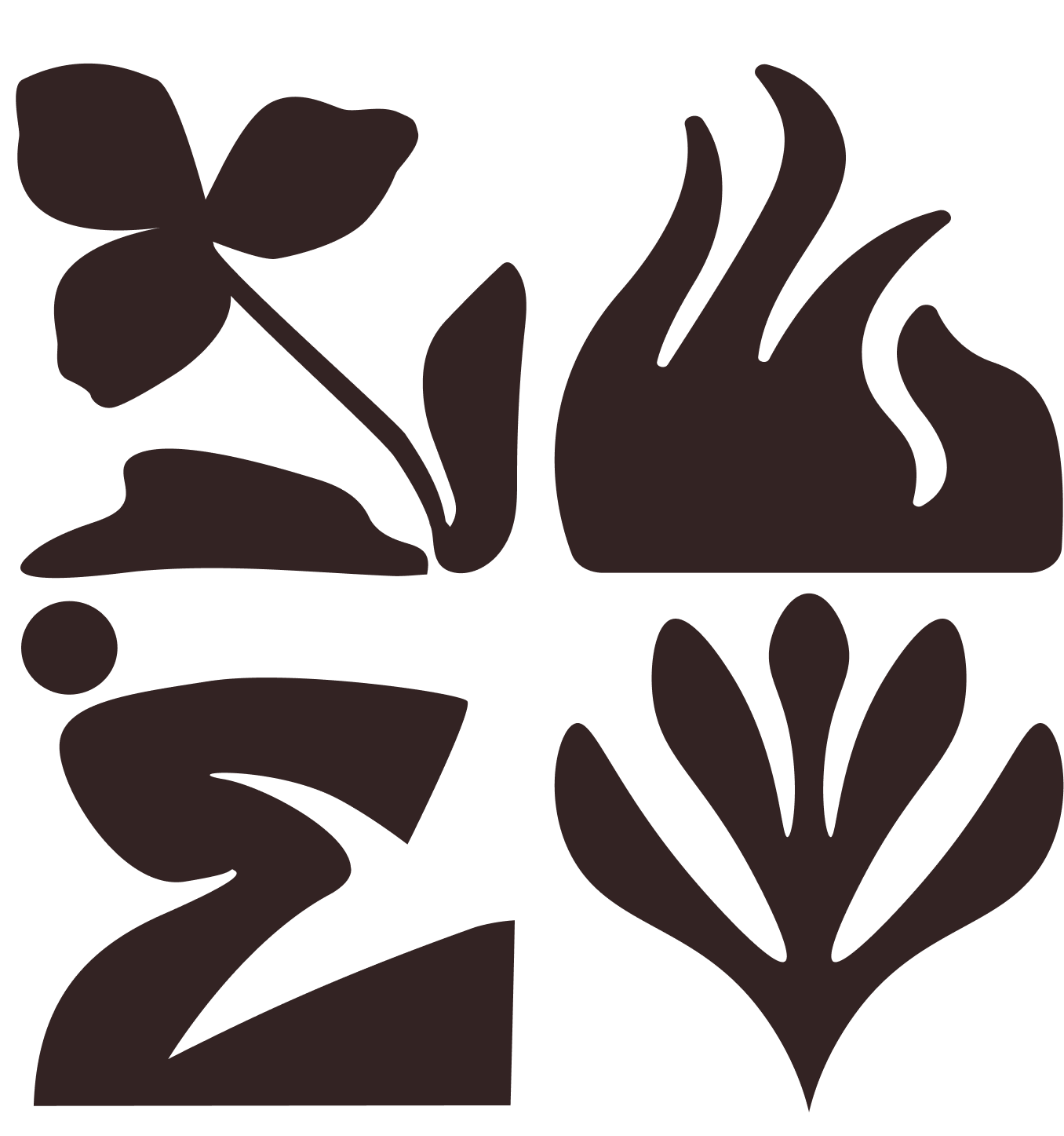 IEP_comp_cacao_01.png
