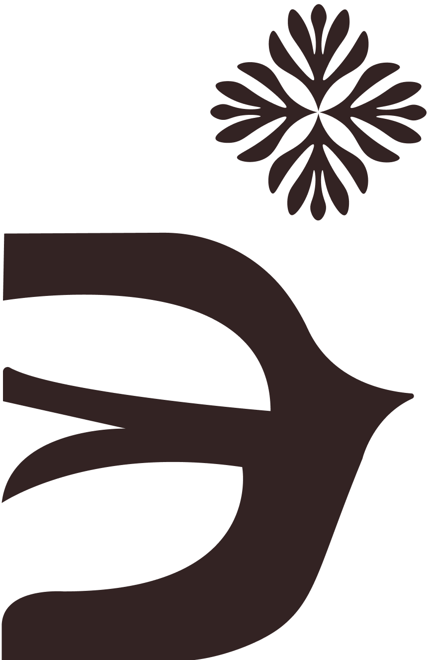 IEP_comp_cacao_04.png