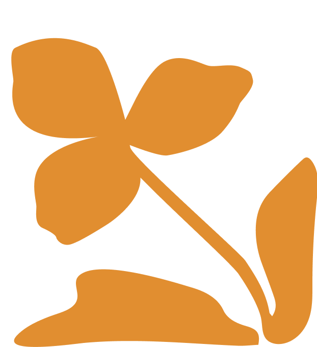 IEP_illust_orange_04.png
