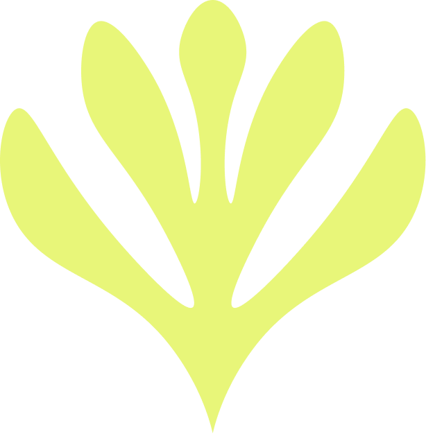 IEP_illust_lime_11.png