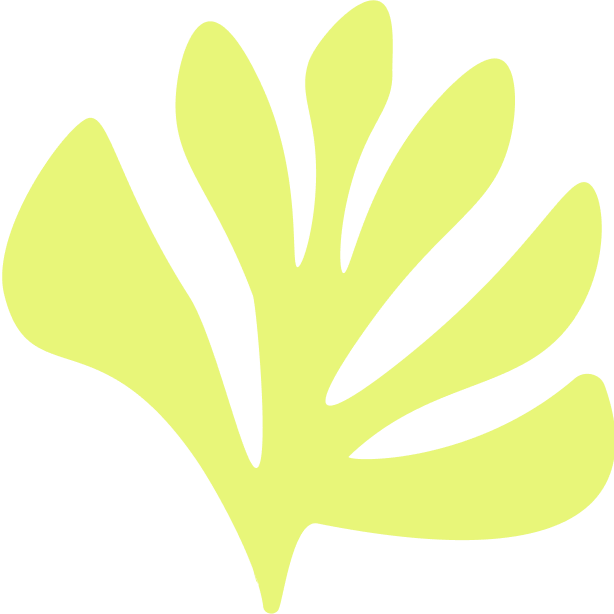 IEP_illust_lime_02.png