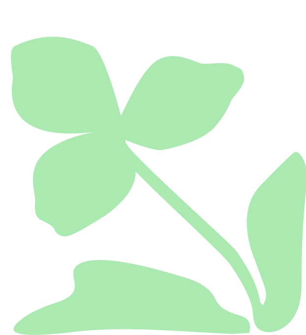 IEP_illust_mint_04.png