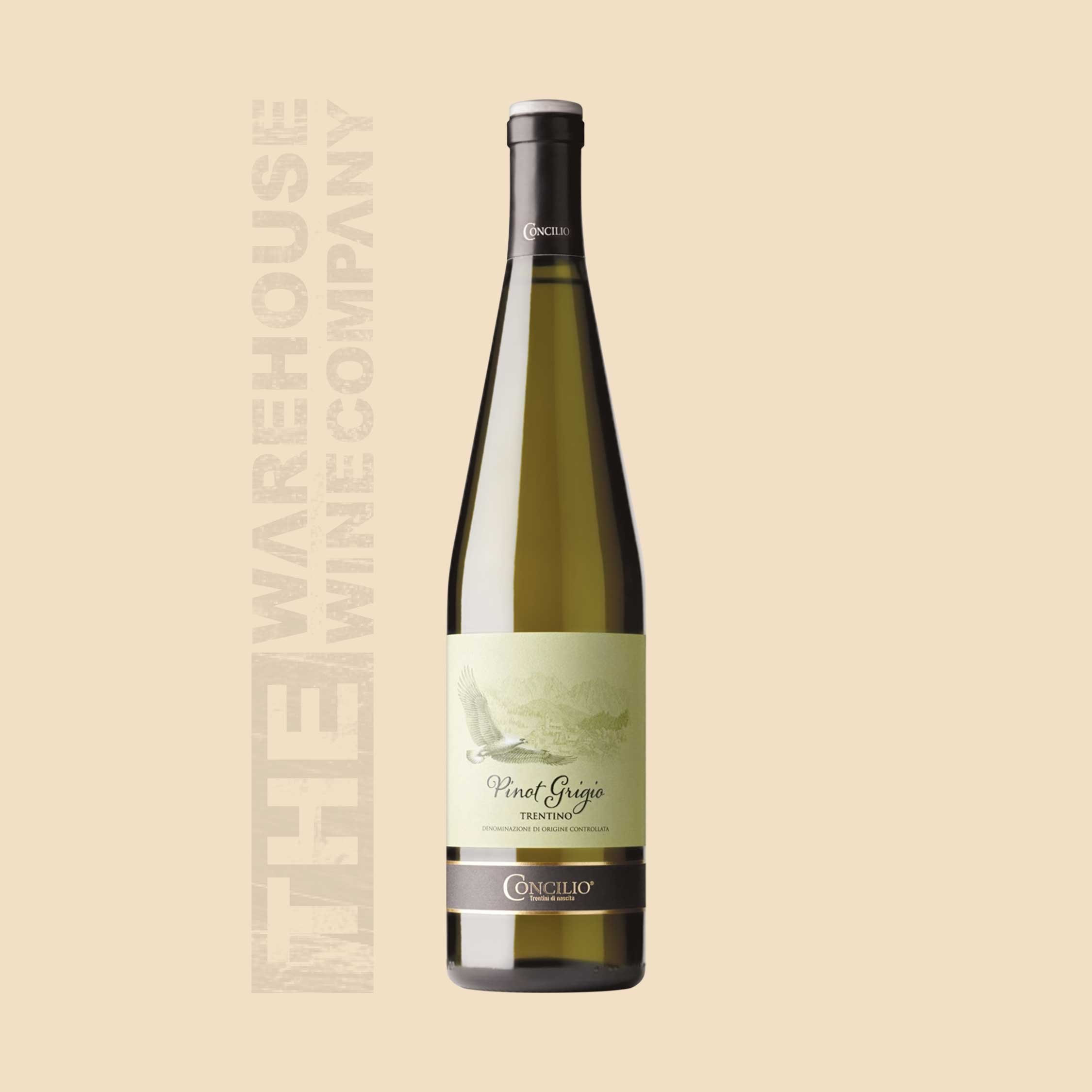 CANTINA-SOCIALE-DI-TRENTO-Concilio-Pinot-Grigio-Trentino-DOC-2024.jpg