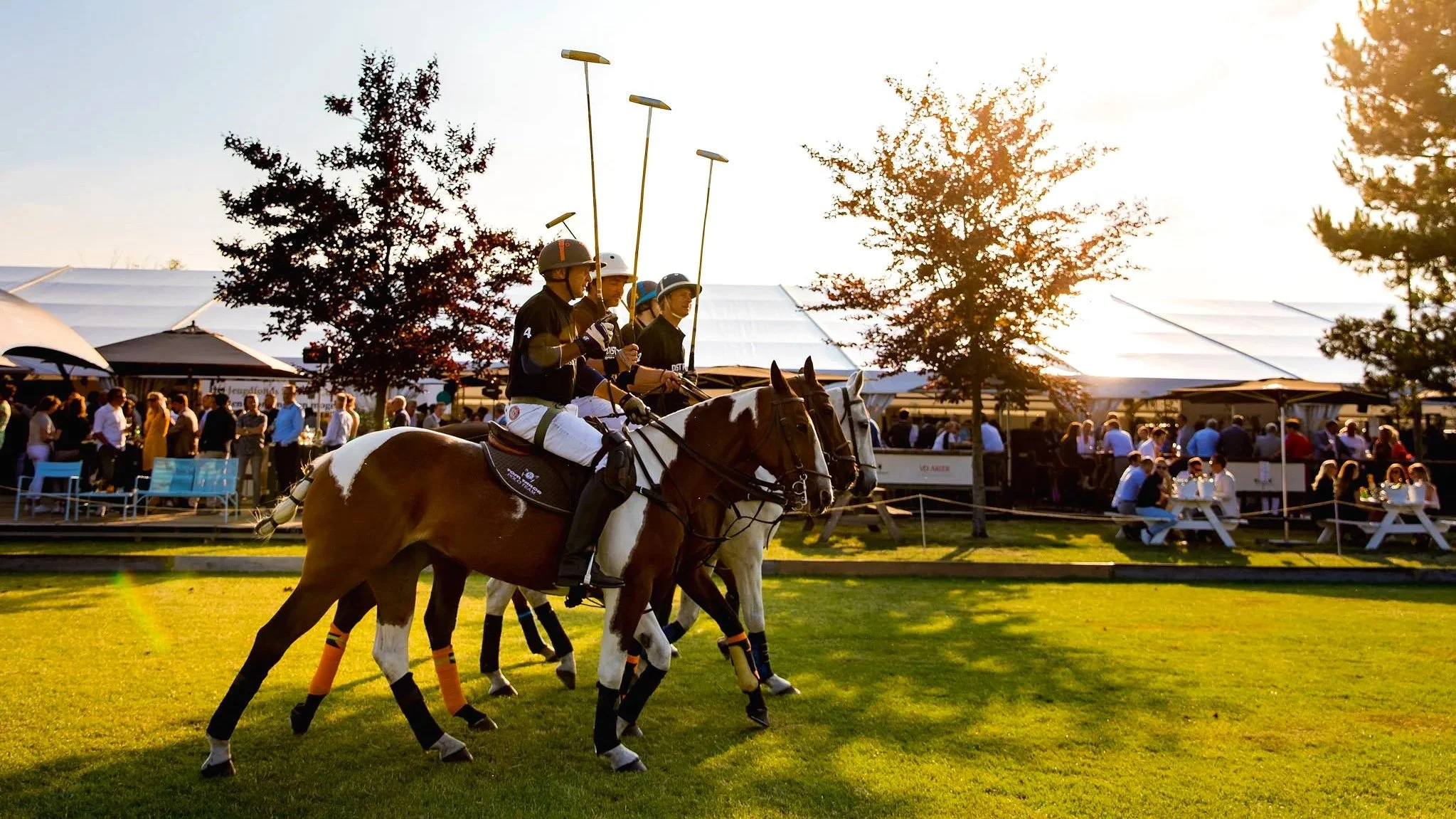 20190622_POLOBRABNT_PREVIEW-KLEURSTOF-033.jpg
