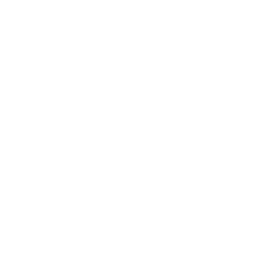 Rocklife Youth