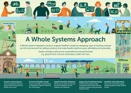 Evaluation of Healthy Weight Healthy Wales