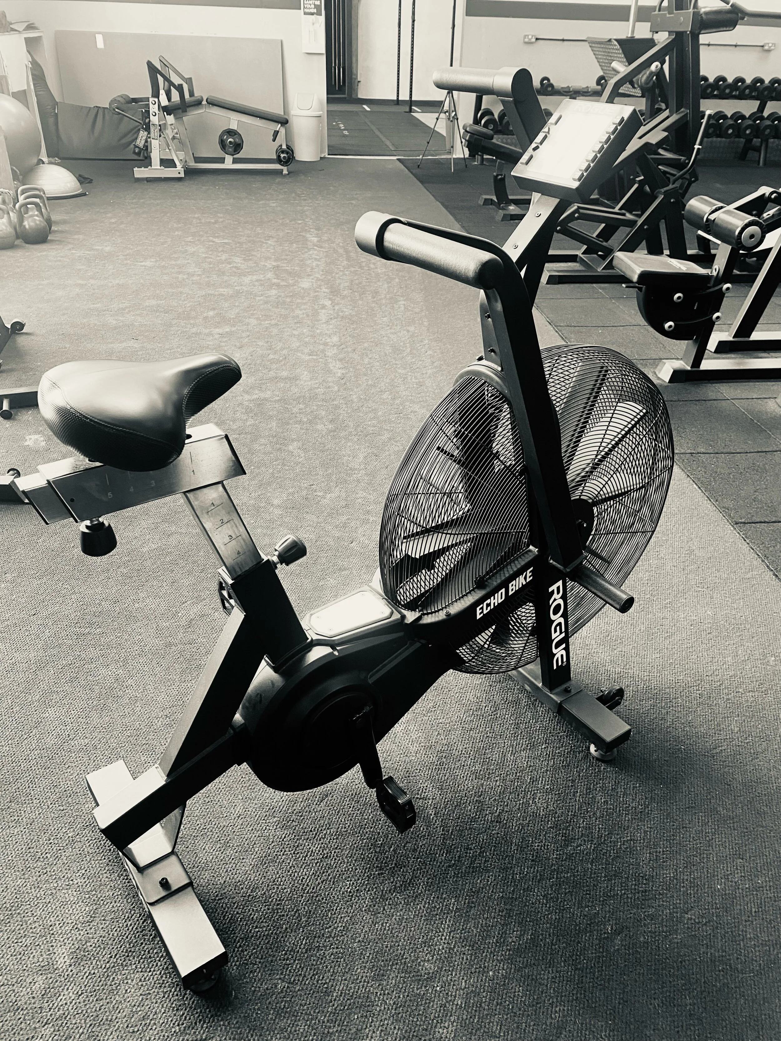 ROGER the Rogue bike