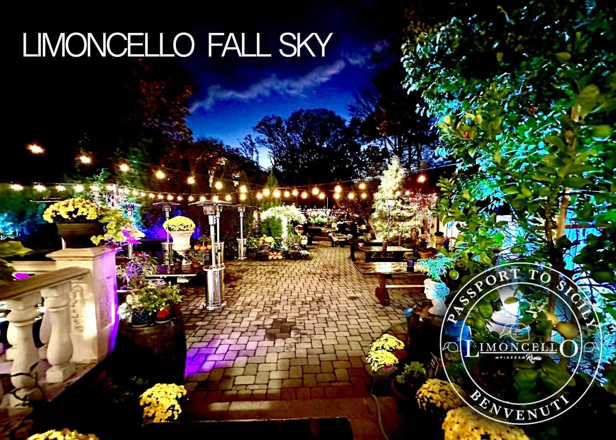 Night view of an outdoor restaurant patio decorated with string lights, potted plants, and illuminated trees, with a brick pathway and a dark sky.