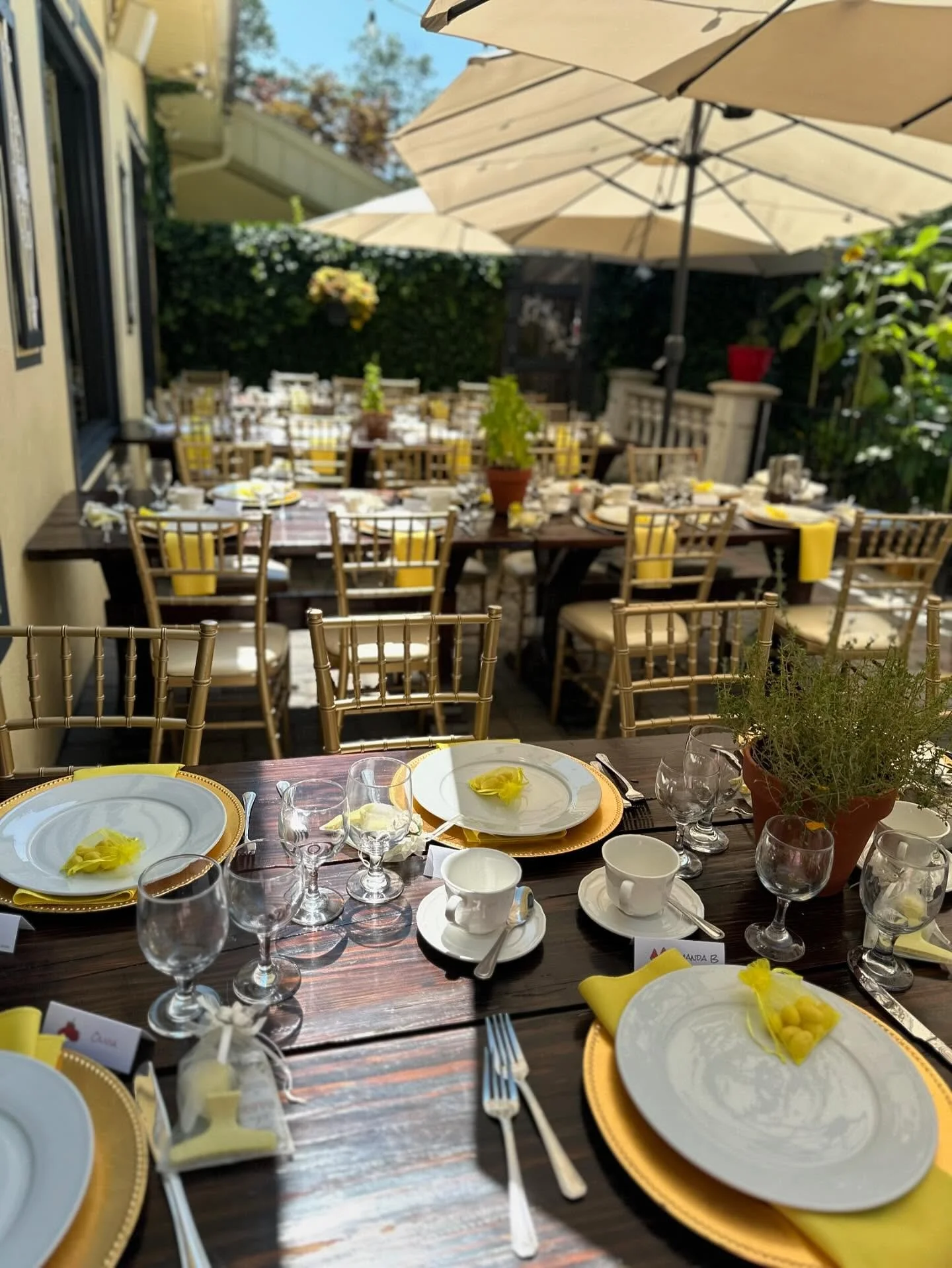 Outdoor dining table set up for a meal with plates, glasses, cups, cutlery, yellow napkins and decorative yellow flowers, under umbrellas on a patio with additional tables and chairs in the background.