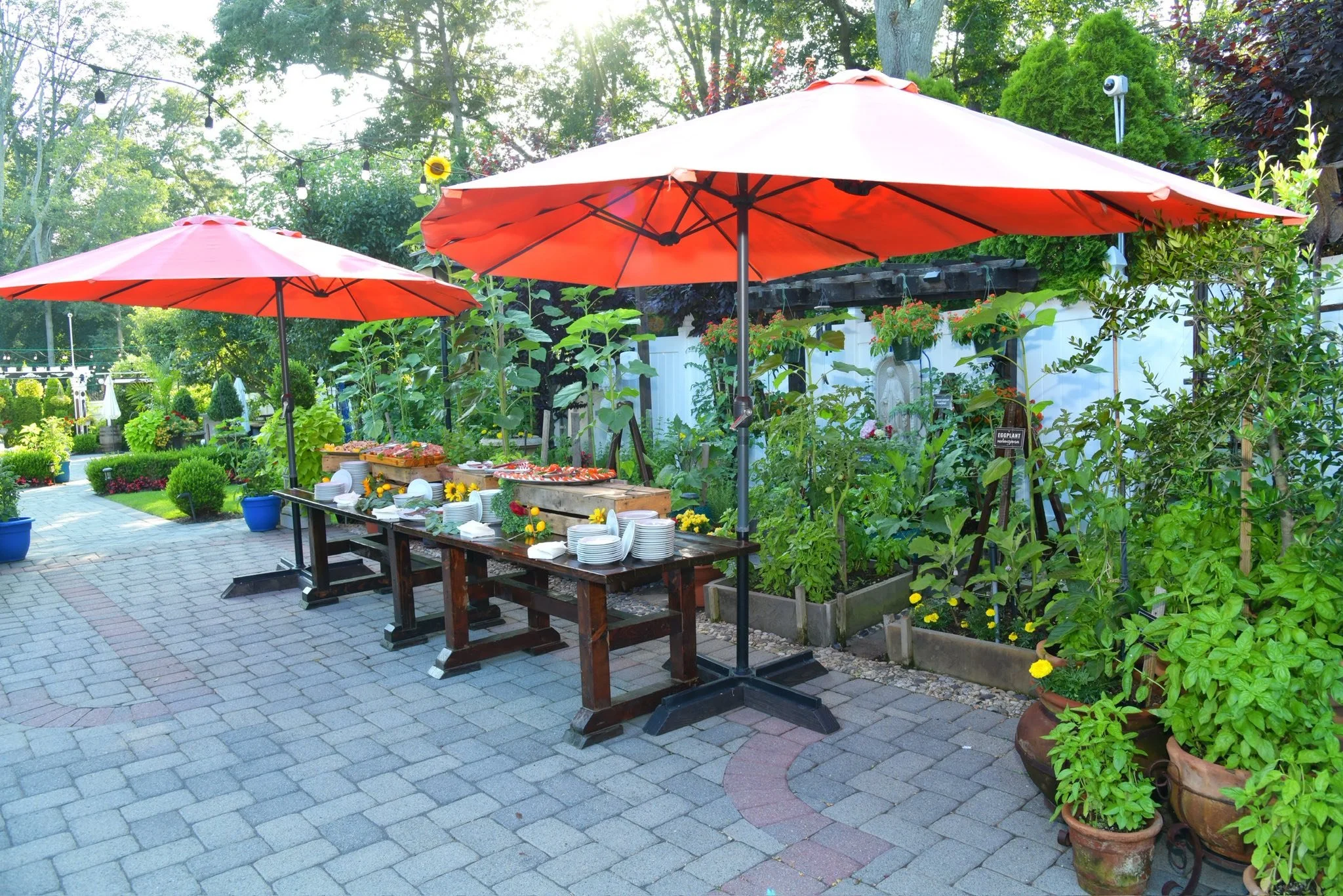Outdoor garden patio with wooden tables under large red umbrellas, set with plates, bowls, and cutlery; surrounding lush green plants and potted flowers; paved stone flooring.