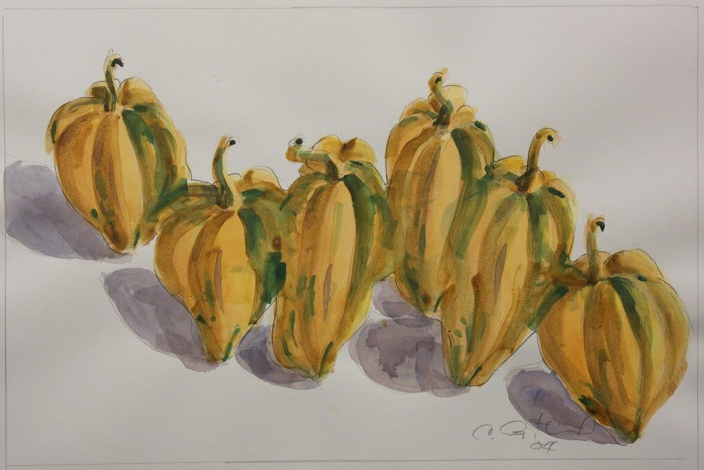 Acorn Squash, 12” x 18”, watercolor