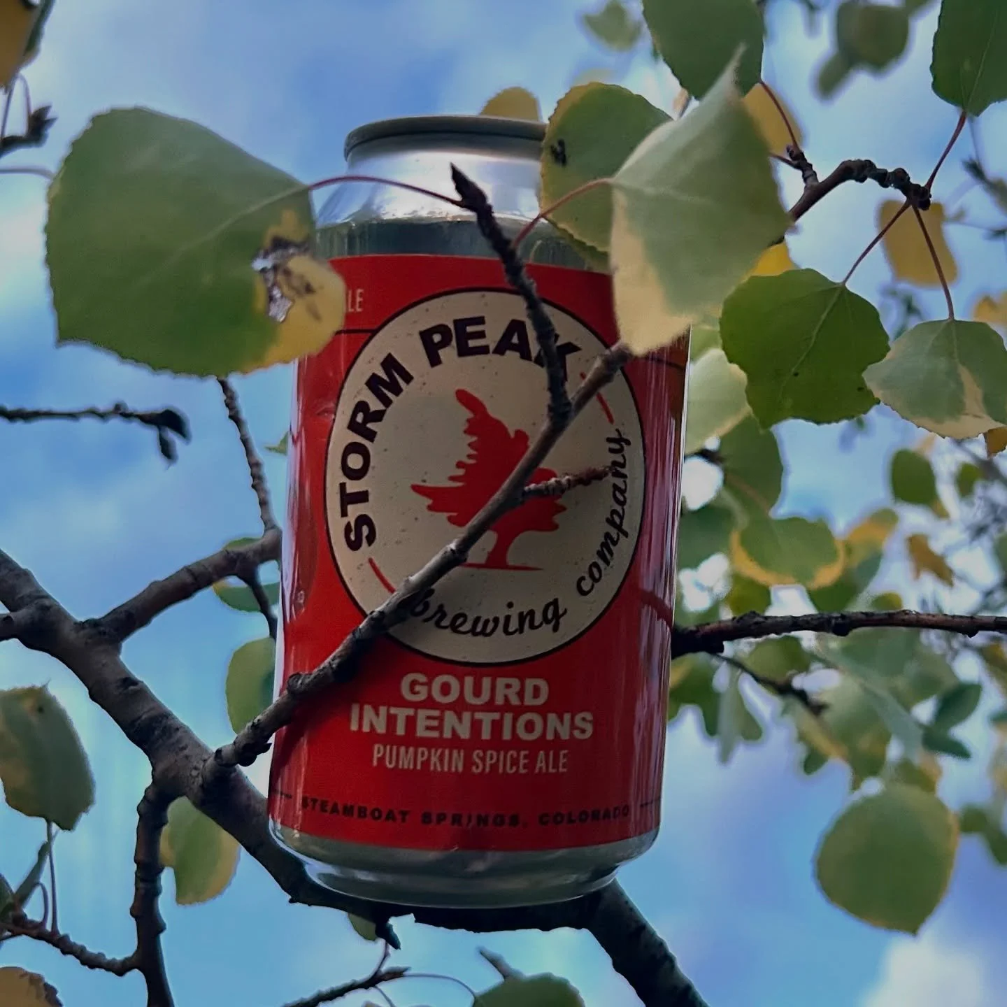🎃 Gourd Intentions is back for her yearly appearance! This Autumn-themed brew has sweet and spiced aromatics including brown sugar, frosting, cinnamon and graham cracker yet still quaffable.

🍁A true fall porch sipper. 100% Colorado grown and malte